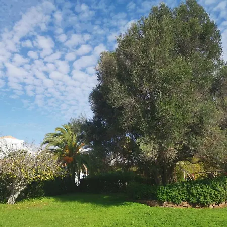 Algarent Quinta Velha Jolie 10 Ξενοδοχείο με διαμερίσματα